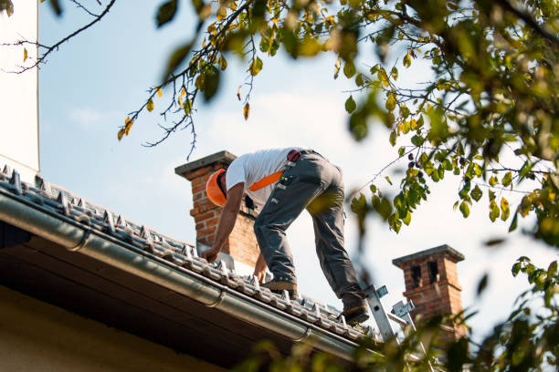 Best Roof Gutter Cleaning  in Wilder, VT